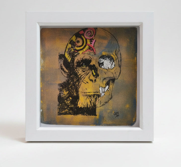 Chimp cogs and skull exposed